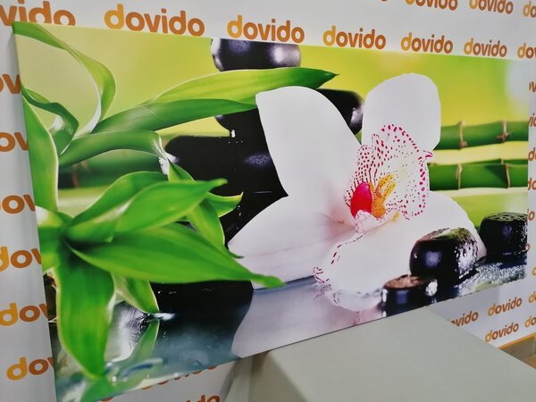 Obraz orchidea z motywem japońskim