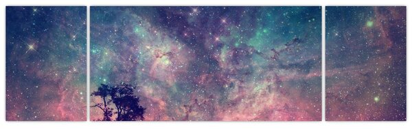 Obraz - Nieziemskie nocne niebo (170x50 cm)