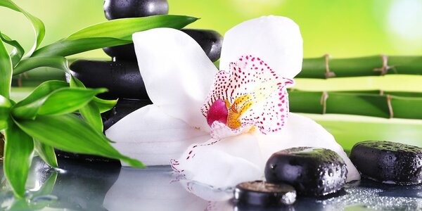 Obraz orchidea z motywem japońskim