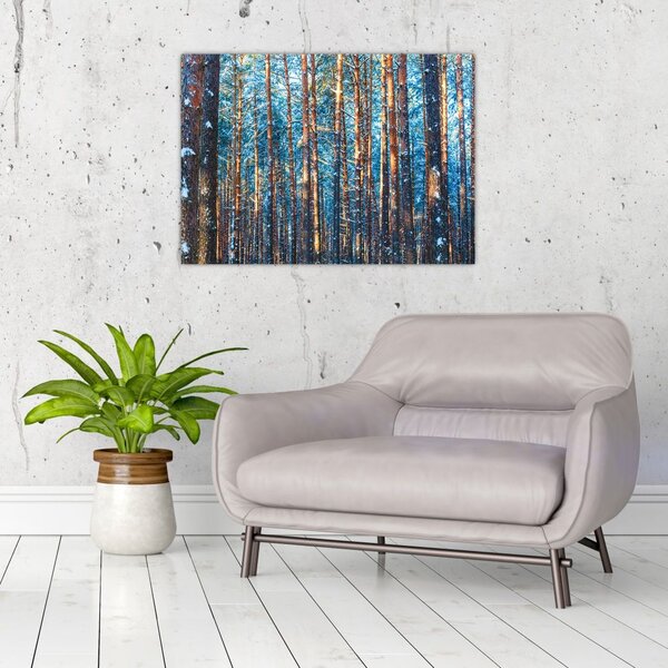 Obraz - Zimowy las (70x50 cm)