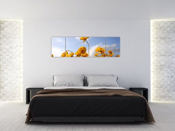 Obraz pola z jasnożółtymi kwiatami (170x50 cm)