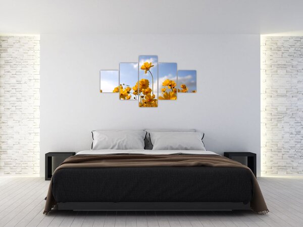 Obraz pola z jasnożółtymi kwiatami (125x70 cm)