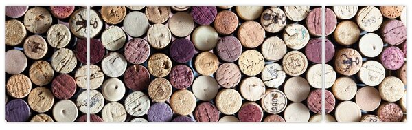 Obraz - Sezon na wino (170x50 cm)