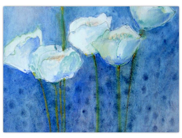 Obraz - Białe tulipany (70x50 cm)