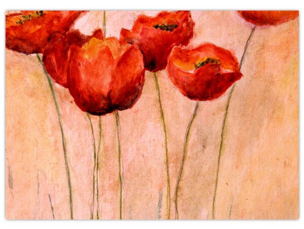 Obraz - Czerwone tulipany (70x50 cm)