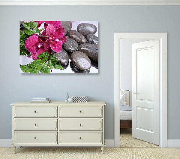 Obraz kwitnąca orchidea i kamienie wellness