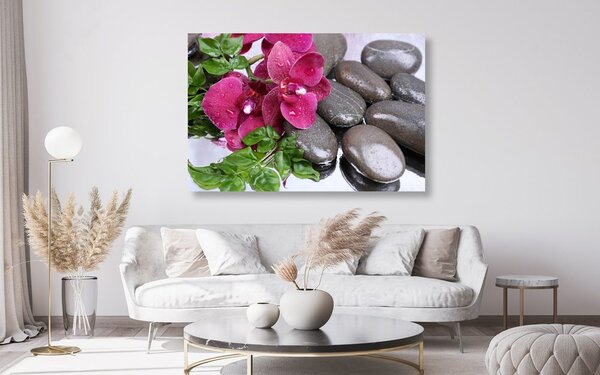 Obraz kwitnąca orchidea i kamienie wellness