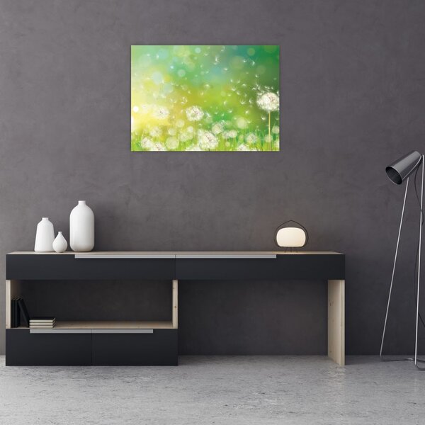 Obraz - Kwitnące mlecze (70x50 cm)