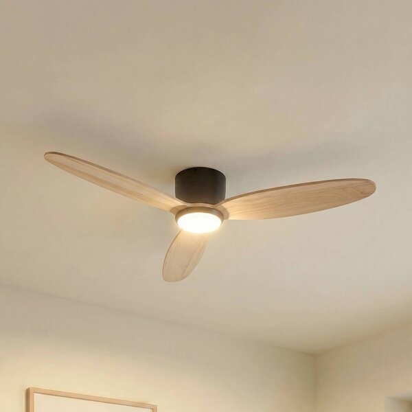 Wentylator sufitowy LED Lucande Lignia, Ø 132 cm, CCT, ściemniany Lignia Lucande, możliwość ściemniania, jasne drewno, salon / jadalnia, drewno, skandynawski