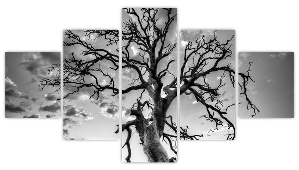 Obraz - Czarno - białe drzewo (125x70 cm)