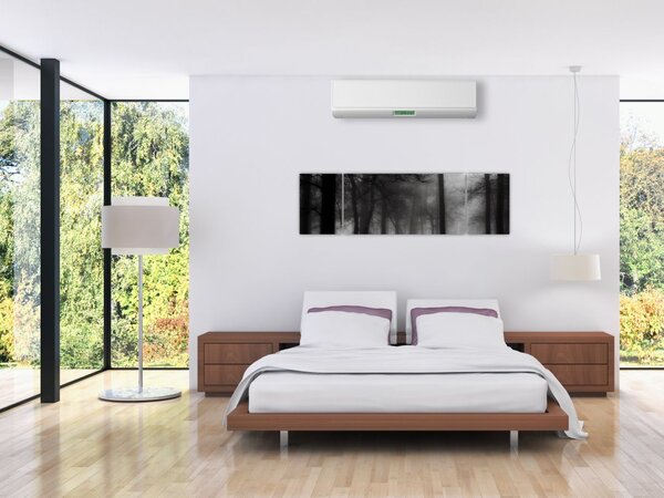Obraz - Las we mgle (170x50 cm)