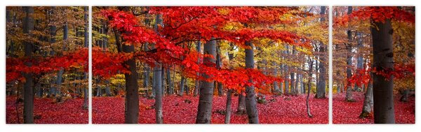 Obraz - Czerwony Las (170x50 cm)