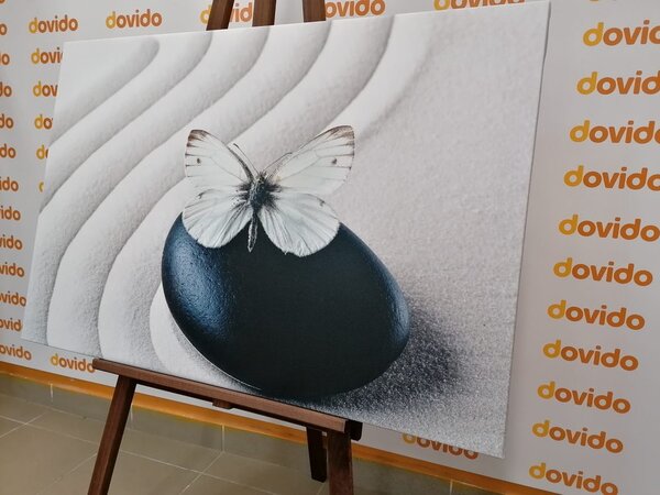 Obraz biały motyl na czarnym kamieniu