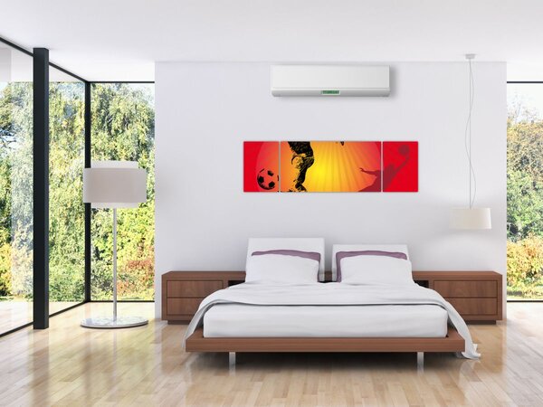 Obraz - Piłka nożna (170x50 cm)