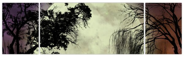Obraz - Księżyc w pełni nad powierzchnią (170x50 cm)