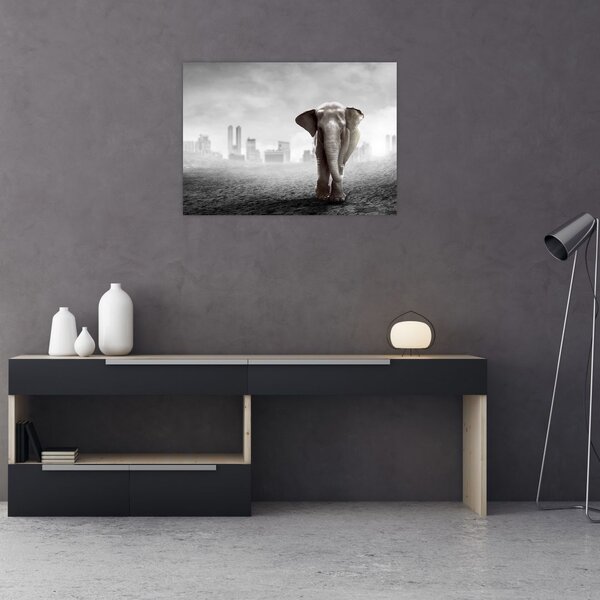 Obraz - Słonie w wielkim mieście, wersja czarno - biała (70x50 cm)
