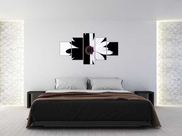 Obraz czarno - białego kwiatu (125x70 cm)
