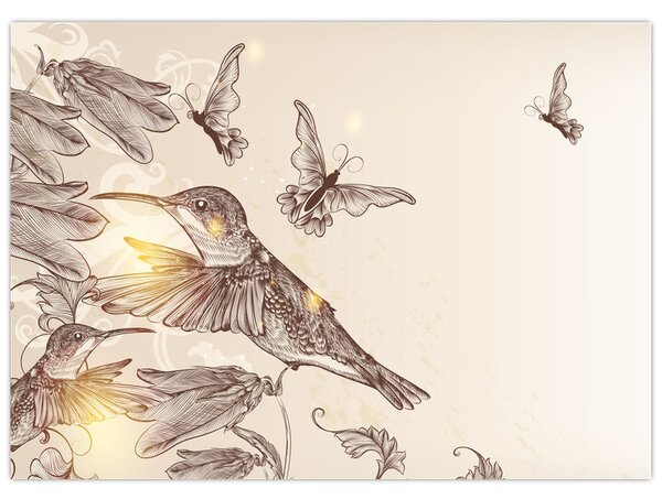 Obraz - Kolibry (70x50 cm)