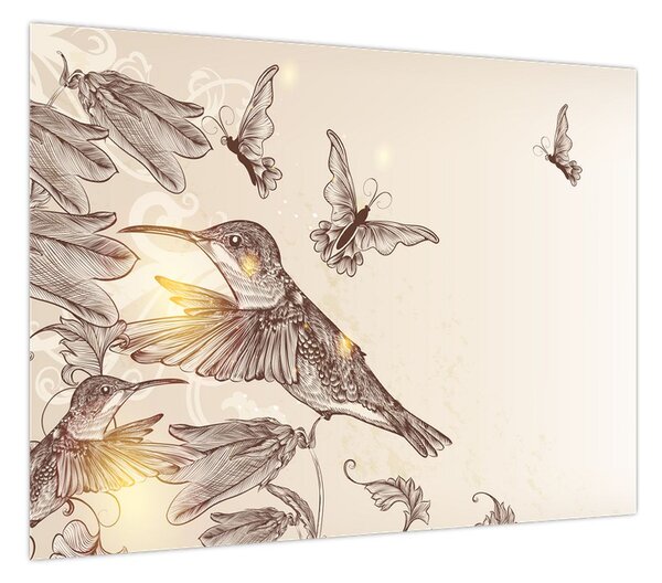 Obraz - Kolibry (70x50 cm)