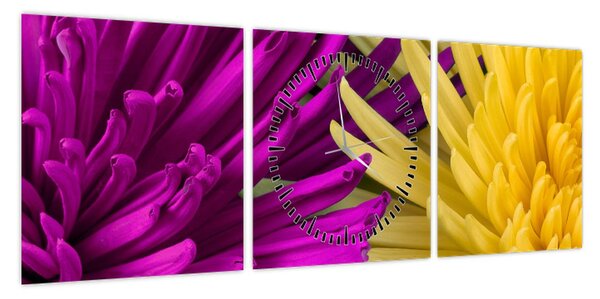 Obraz - szczegóły kwiatów (z zegarem) (90x30 cm)