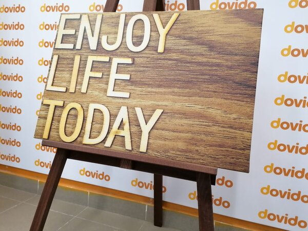 Obraz z cytatem - Enjoy life today