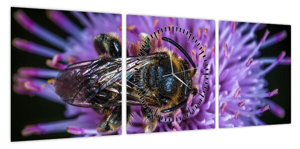 Obraz pszczoły na kwiatku (z zegarem) (90x30 cm)