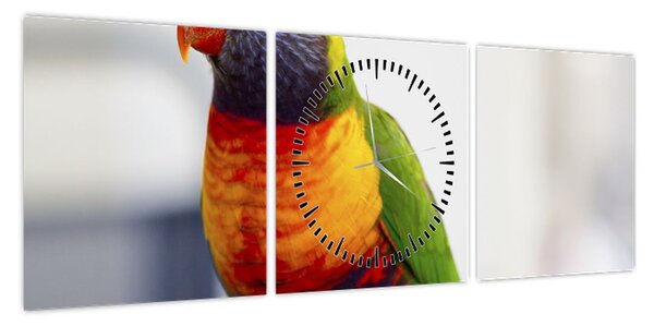 Obraz papugi (z zegarem) (90x30 cm)