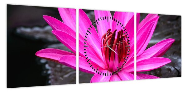 Obraz - różowy kwiat (z zegarem) (90x30 cm)