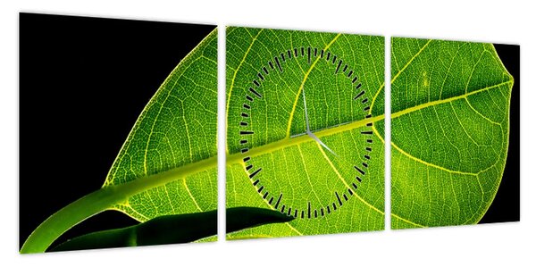 Obraz - zielony liść (z zegarem) (90x30 cm)
