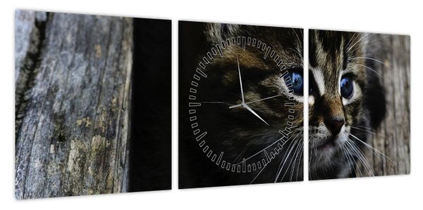 Obraz kotka (z zegarem) (90x30 cm)