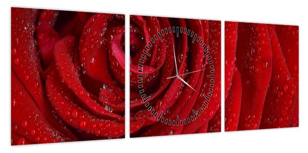 Obraz - szczegół róży (z zegarem) (90x30 cm)
