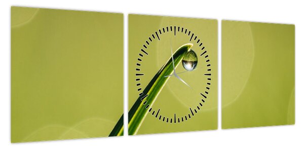 Obraz kropli wody na trawie (z zegarem) (90x30 cm)