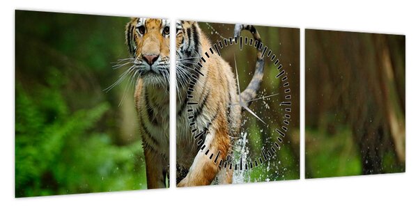Obraz biegnącego tygrysa (z zegarem) (90x30 cm)