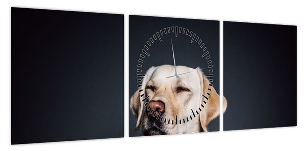 Obraz labradora (z zegarem) (90x30 cm)