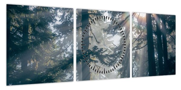 Obraz drzew, przez które prześwieca słońce (z zegarem) (90x30 cm)