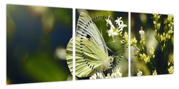 Obraz motyla (z zegarem) (90x30 cm)