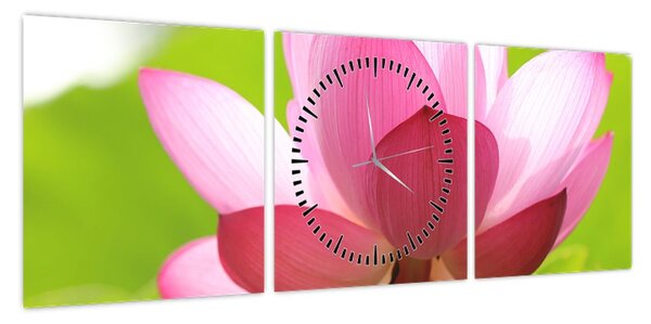 Obraz kwiatu lotosu (z zegarem) (90x30 cm)