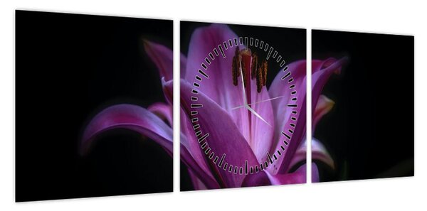 Obraz lilii (z zegarem) (90x30 cm)