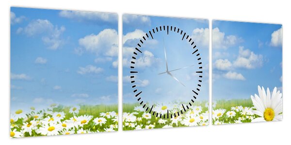 Obraz kwitnącej łąki ze stokrotkami (z zegarem) (90x30 cm)