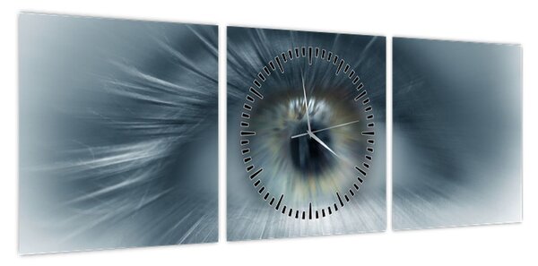 Obraz - Widok oka (z zegarem) (90x30 cm)