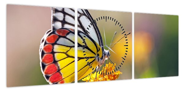 Obraz motyla na kwiatku (z zegarem) (90x30 cm)