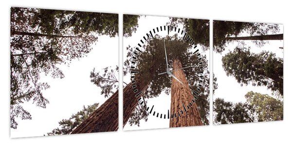 Obraz - Widok przez korony drzew (z zegarem) (90x30 cm)