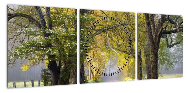 Zdjęcie - Smoky Mountains, Gatlinburg, USA (z zegarem) (90x30 cm)
