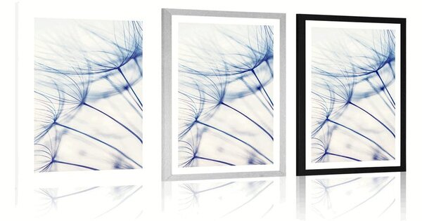 Plakat z passe-partout dmuchawiec w niepowtarzalnym designie