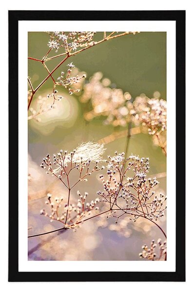 Plakat z passe-partout martwa natura kwiaty
