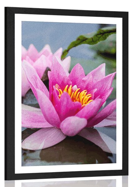 Plakat z passe-partout różowy kwiat lotosu