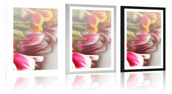 Plakat z passe-partout bukiet kolorowych tulipanów