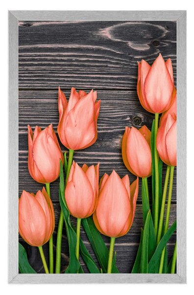 Plakat pomarańczowe tulipany na drewnianym tle