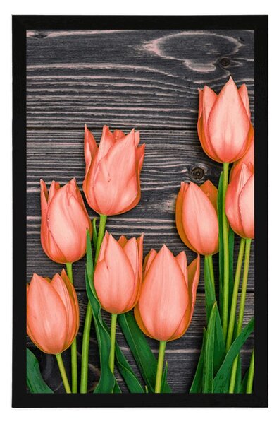 Plakat pomarańczowe tulipany na drewnianym tle