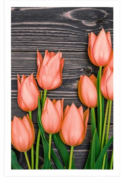 Plakat pomarańczowe tulipany na drewnianym tle